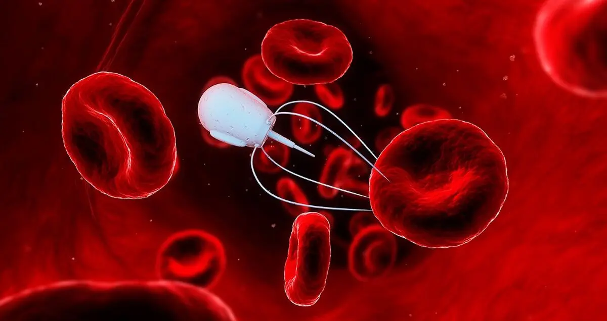 نانو ربات‌هایی از جنس DNA که در بدنتان مولکول جابه‌جا می‌کند