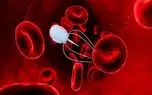 نانو ربات‌هایی از جنس DNA که در بدنتان مولکول جابه‌جا می‌کند