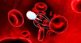 نانو ربات‌هایی از جنس DNA که در بدنتان مولکول جابه‌جا می‌کند