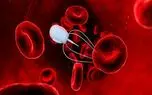 نانو ربات‌هایی از جنس DNA که در بدنتان مولکول جابه‌جا می‌کند