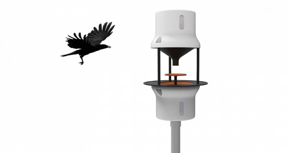 استفاده از کلاغ برای جمع‌آوری فیلترهای سیگار از سطح شهر!