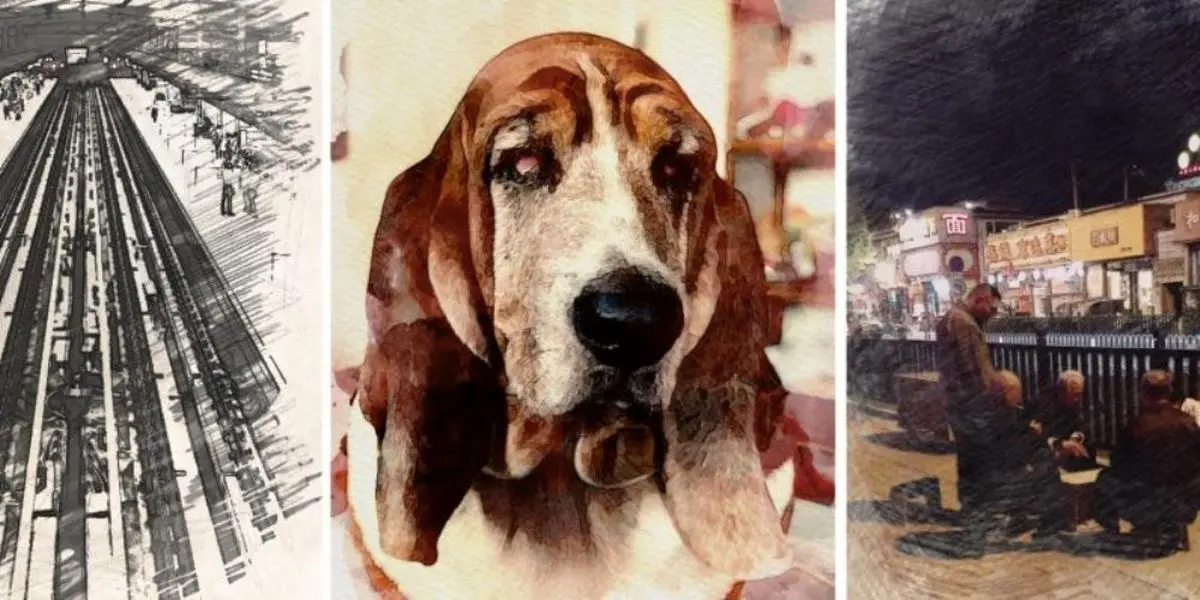 با اپلیکیشن Portra عکس های خود را به آثار هنری جذاب تبدیل کنید!