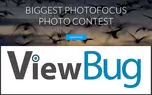 ViewBug شبکه اجتماعی عکاسان