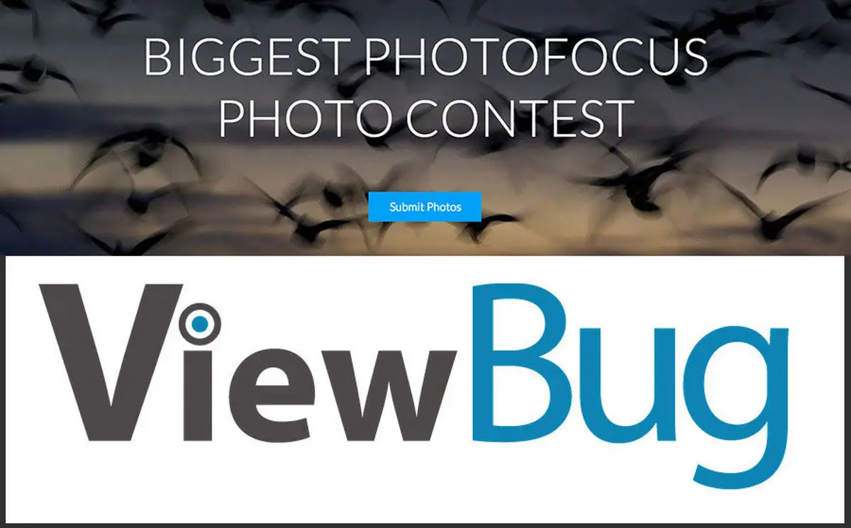 ViewBug شبکه اجتماعی عکاسان