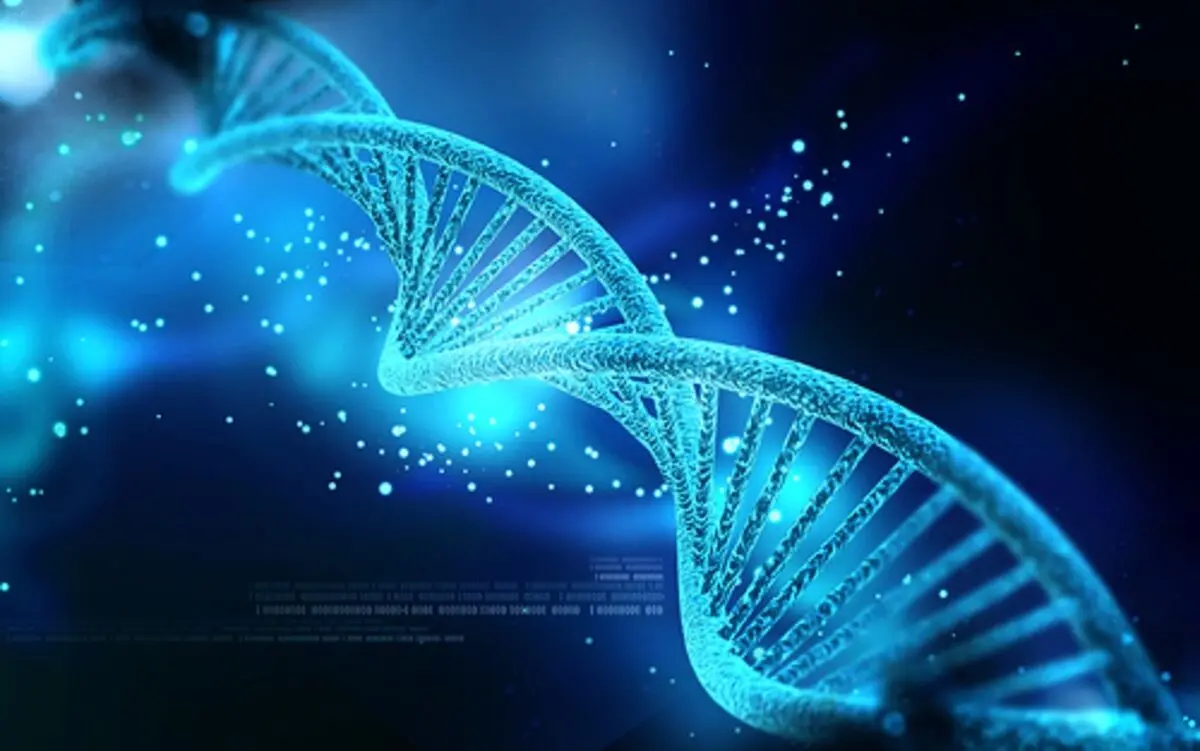 تنظیم سرعت تکثیر DNA برای از بین بردن سلول های سرطانی