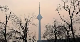 سو استفاده تاکسی های آنلاین از هوای آلوده تهران!