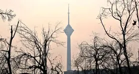 سو استفاده تاکسی های آنلاین از هوای آلوده تهران!
