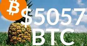اهدای 86 میلیون دلار بیت کوین به موسسات خیریه توسط فرد ناشناس