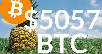 اهدای 86 میلیون دلار بیت کوین به موسسات خیریه توسط فرد ناشناس