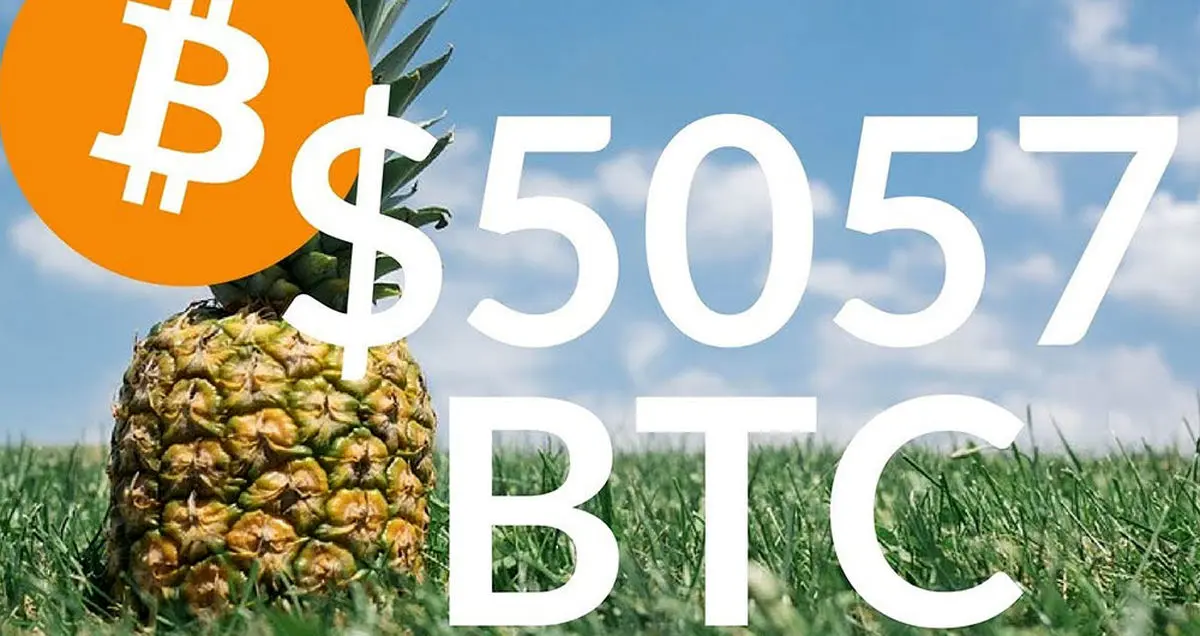 اهدای 86 میلیون دلار بیت کوین به موسسات خیریه توسط فرد ناشناس