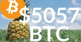 اهدای 86 میلیون دلار بیت کوین به موسسات خیریه توسط فرد ناشناس