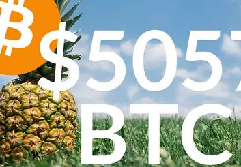 اهدای 86 میلیون دلار بیت کوین به موسسات خیریه توسط فرد ناشناس