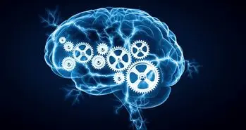 این 4 ماده غذایی را بخورید تا مثل ایلان ماسک فکر کنید!