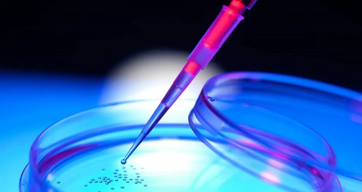 ۳ پژوهش سرای دانش آموزی سلول های بنیادی تا پایان امسال شروع به کار می کنند