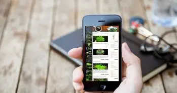 لیست معافیت های مالیاتی شرکت های تولید کننده نرم افزار ابلاغ شد