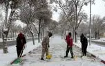 برف‌ روب‌ های آنلاین از یک هفته پیش برنامه داشتند!