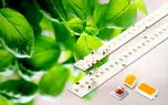 چراغ LED سامسونگ باعث افزایش رشد گیاهان می شود