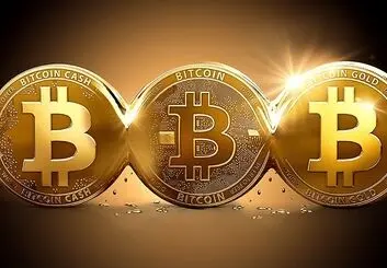 بیت‌ کوین تنها یکی از 1500 رمز ارز دیجیتالی موجود در بازار است