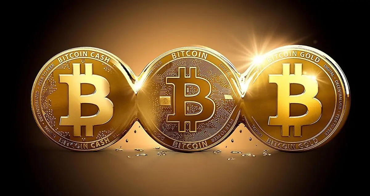 بیت‌ کوین تنها یکی از 1500 رمز ارز دیجیتالی موجود در بازار است