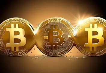 بیت‌ کوین تنها یکی از 1500 رمز ارز دیجیتالی موجود در بازار است