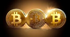 بیت‌ کوین تنها یکی از 1500 رمز ارز دیجیتالی موجود در بازار است