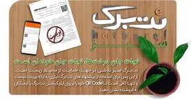 اقدام مثبت نت برگ برای حفظ محیط زیست