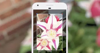 اپلیکیشن گوگل لنز در دسترس کاربران Xperia XZ2 و مدل کامپکت آن قرار گرفت