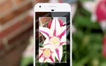 اپلیکیشن گوگل لنز در دسترس کاربران Xperia XZ2 و مدل کامپکت آن قرار گرفت