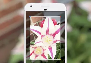 اپلیکیشن گوگل لنز در دسترس کاربران Xperia XZ2 و مدل کامپکت آن قرار گرفت