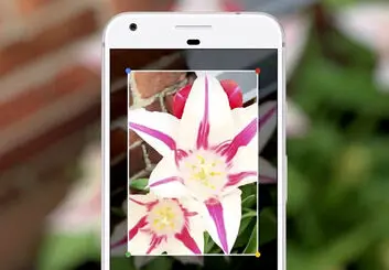اپلیکیشن گوگل لنز در دسترس کاربران Xperia XZ2 و مدل کامپکت آن قرار گرفت