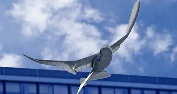 پهپاد پرنده نما، ابزار جدید دولت چین برای جاسوسی از مردم!