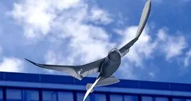 پهپاد پرنده نما، ابزار جدید دولت چین برای جاسوسی از مردم!