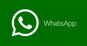پیام های فوروارد شده واتس اپ در آپدیت جدید از طریق نمایه مشخص می شود