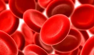 آیا بدن انسان هفت سال یک بار تغییر می کند؟