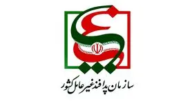 سازمان پدافند غیرعامل: اظهارات اخیر وزیر ارتباطات عجولانه و تبلیغاتی بود
