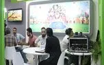 بازی آمیرزا آنلاین می شود