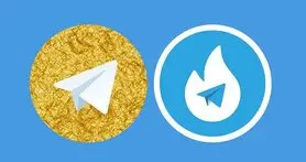 وزیر ارتباطات: درباره ورود 2000 سرور هاتگرام و تلگرام طلایی با ارز دولتی اطلاعی ندارم