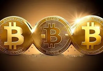 استخراج مخفیانه ارزهای دیجیتال در سایت های دولتی جرم است