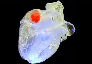 چاپ ۳ بعدی اندام در «داخل بدن» با استفاده از فناوری فراصوت
