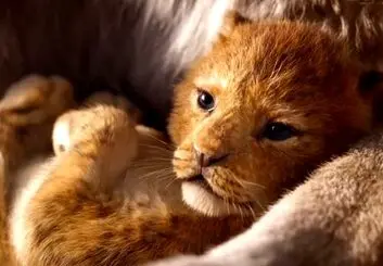 آمار بازدید اولین تریلر فیلم The Lion King از مرز ۲۰۰ میلیون بار عبور کرد!