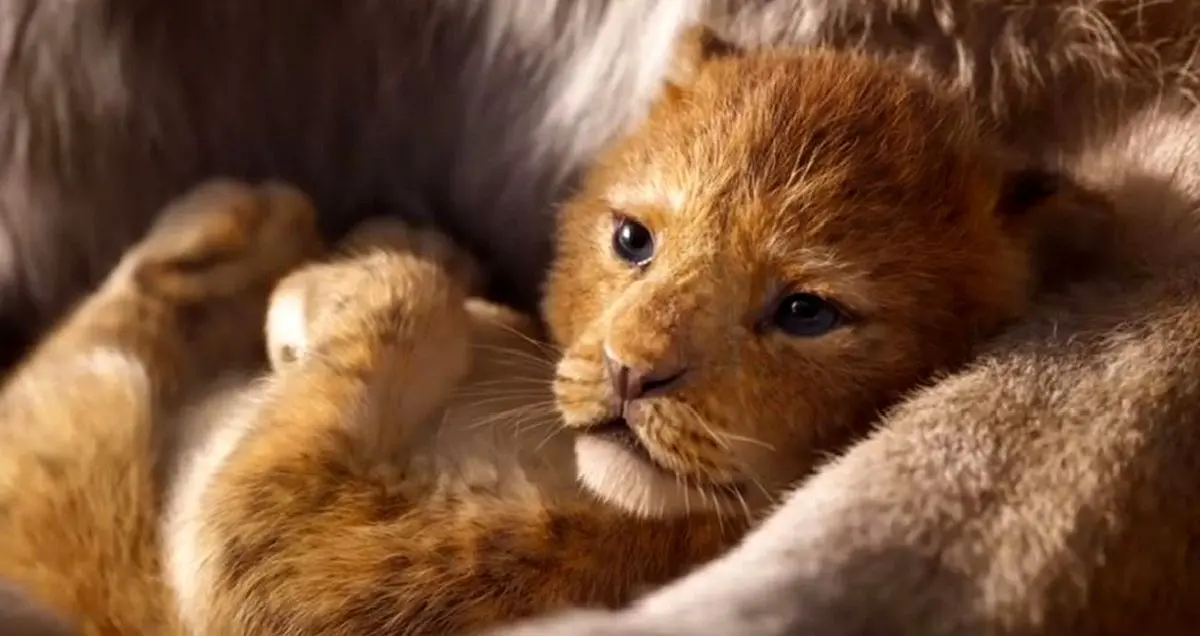 آمار بازدید اولین تریلر فیلم The Lion King از مرز ۲۰۰ میلیون بار عبور کرد!