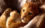 آمار بازدید اولین تریلر فیلم The Lion King از مرز ۲۰۰ میلیون بار عبور کرد!