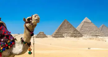 گردشگری در مصر رونق دوباره ای پیدا می کند