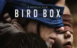 رکورد شکنی فیلم Bird Box: بیش از ۴۵ میلیون کاربر فیلم را تماشا کرده‌ اند!