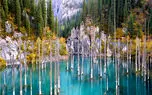 با دریاچه کیندی قزاقستان؛ عجیب ترین دریاچه جهان آشنا شوید!