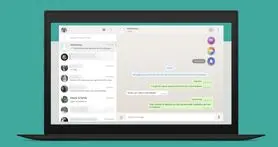 7 ترفند کاربردی واتس اپ ویندوز که حتما باید بدانید