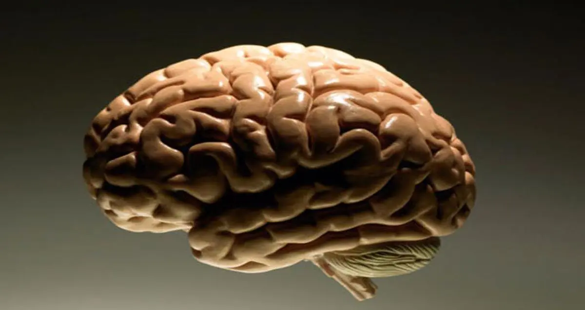 راه های سریع افزایش هوش