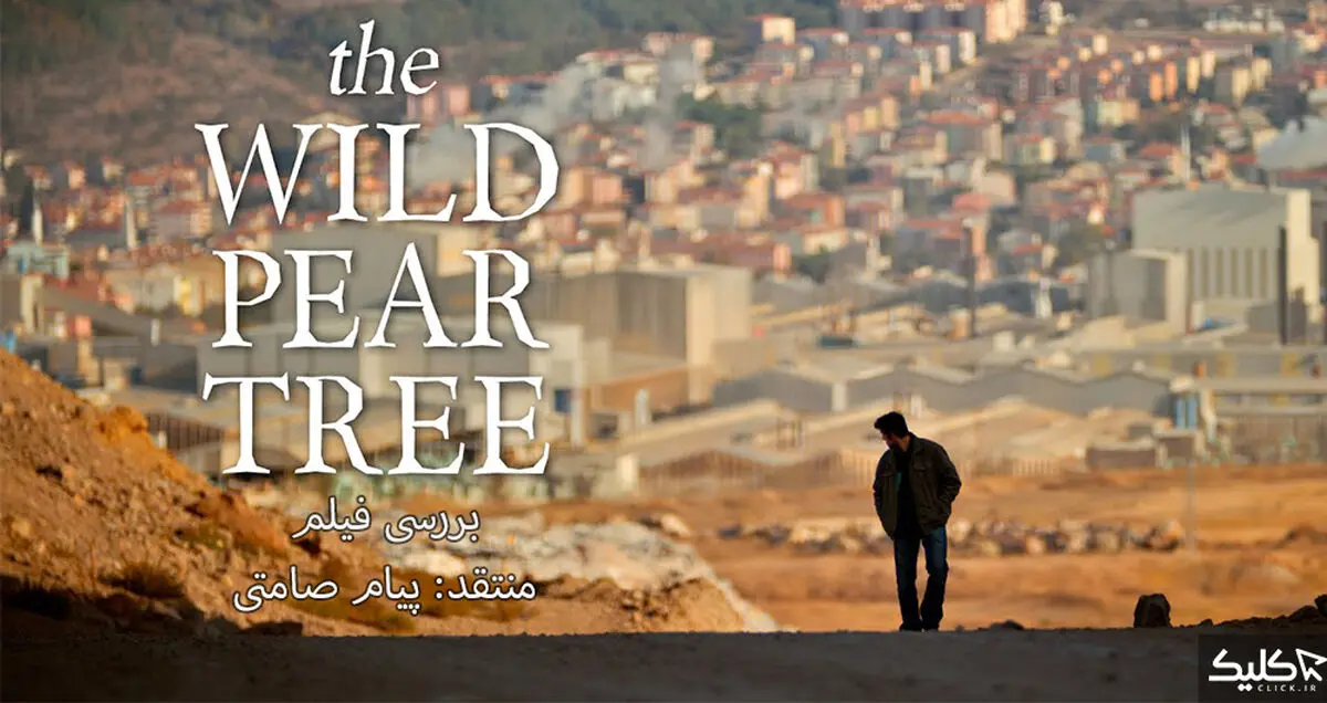 نقد و بررسی فیلم The Wild Pear Tree