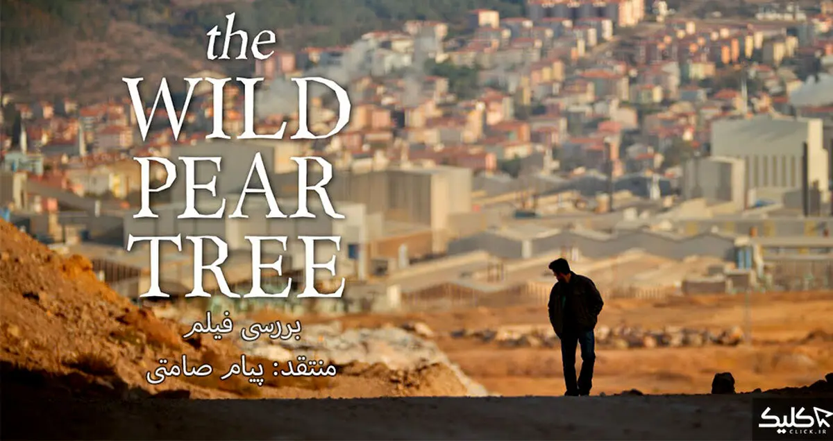 نقد و بررسی فیلم The Wild Pear Tree