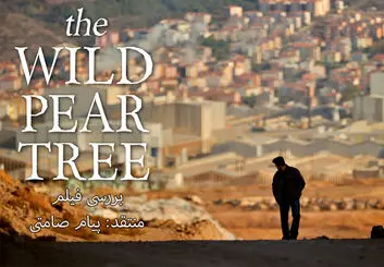 نقد و بررسی فیلم The Wild Pear Tree